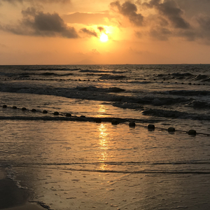 瑟清网页入口不用下载y
